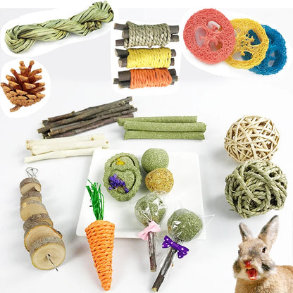 Toys for Teeth Health Rabbit Accessories