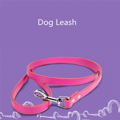 Leash for Pets