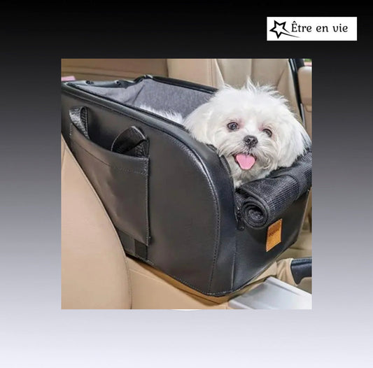 Asiento para el automóvil del gato del perro