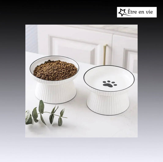 Cute Pet Bowl