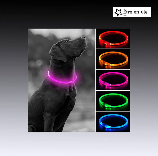 Collare per cani USB a LED