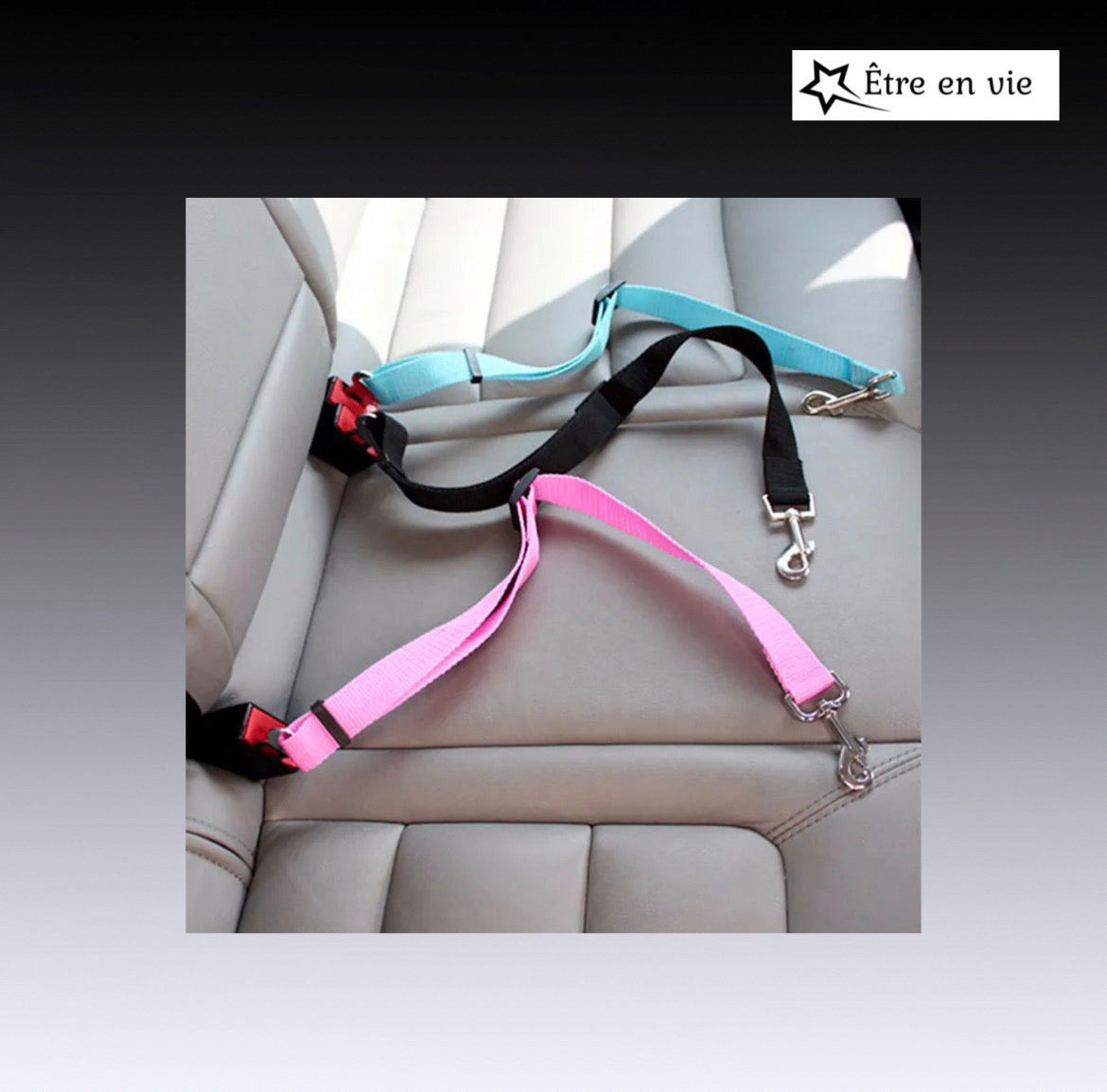 Pet Seat Belt