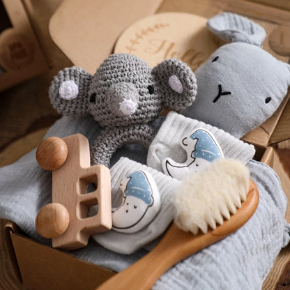 Baby Newborn Gift