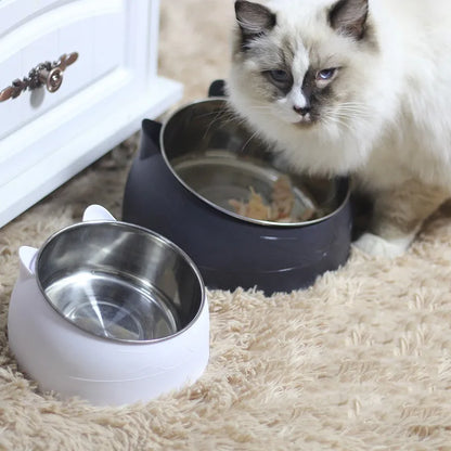 Bols de nourriture pour chats en acier inoxydable