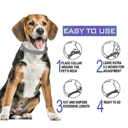 Dog-Cat Anti Flea And Tick Collars