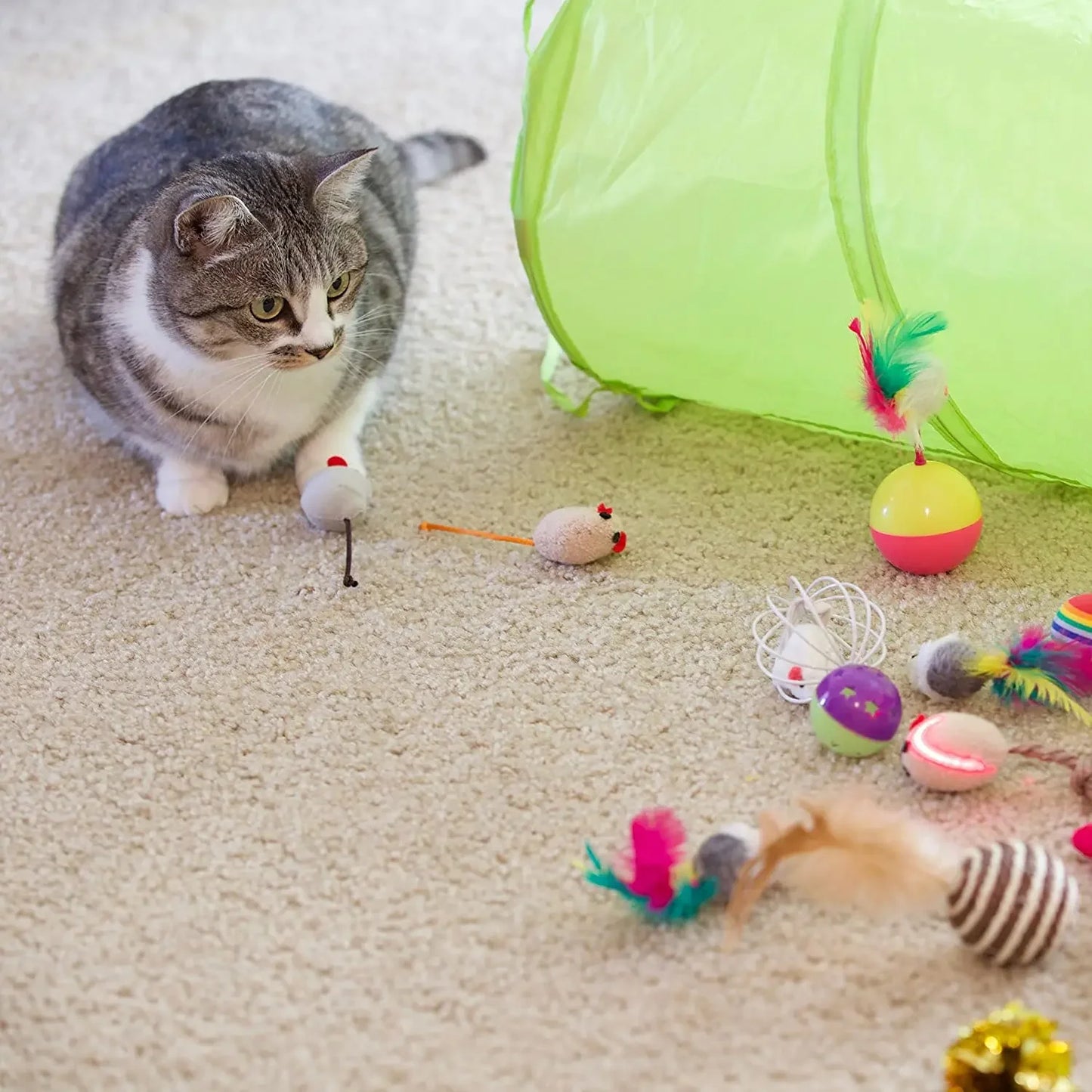 Cat Games Toy