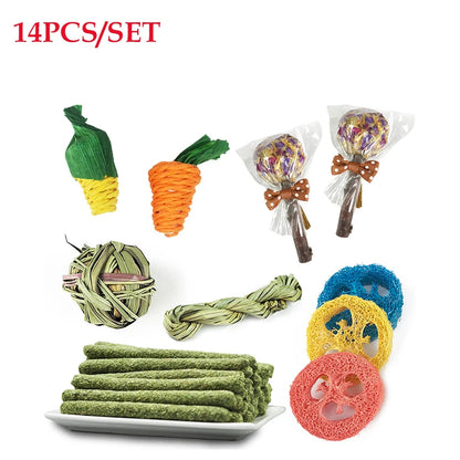 Toys for Teeth Health Rabbit Accessories