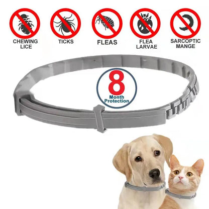 Dog-Cat Anti Flea and Tick Collars